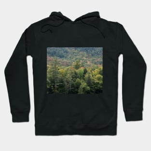 Autumn in the Adirondack Mountains!! Hoodie